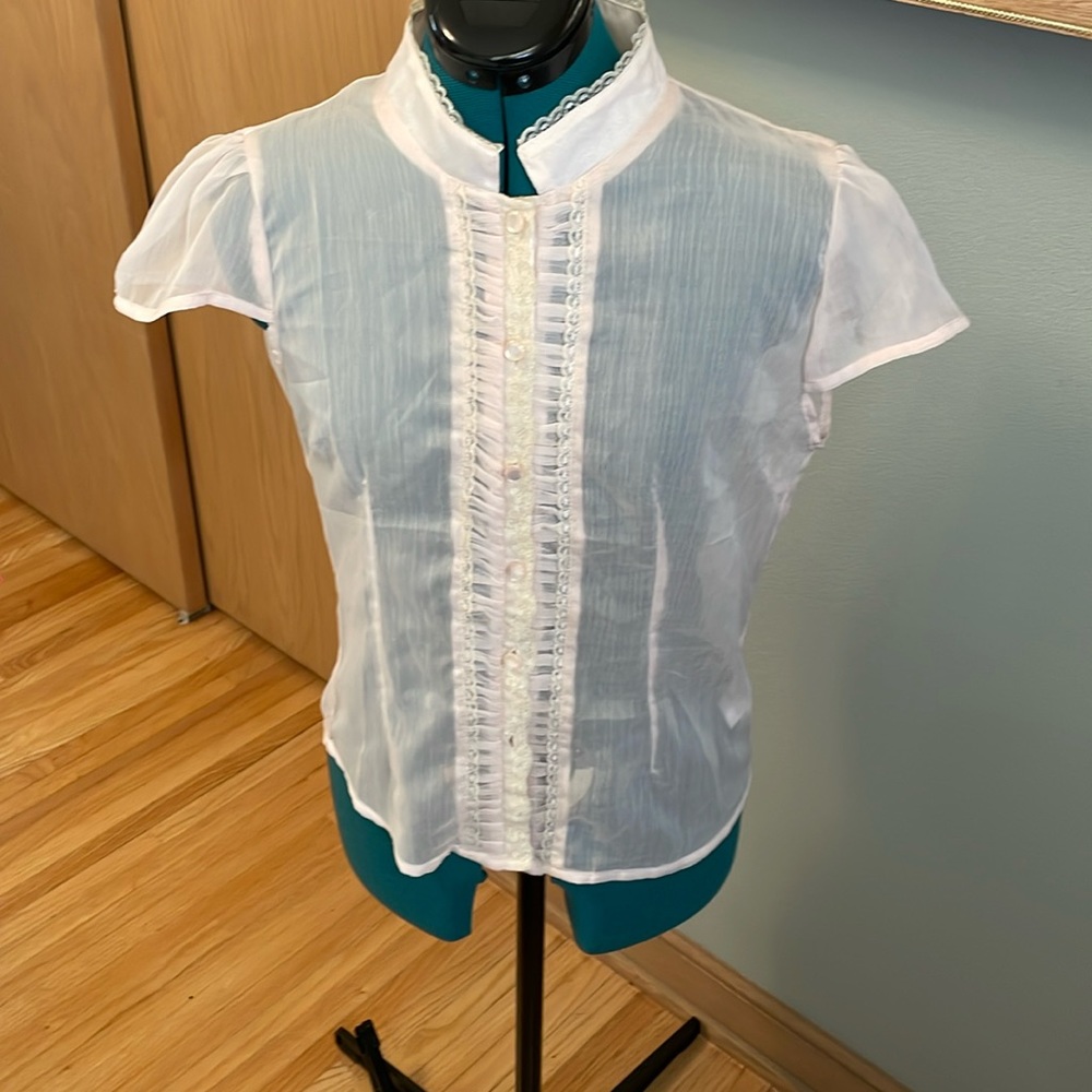 Tatyana White Semi-Sheer Pintuck Ruffle Button Front Blouse